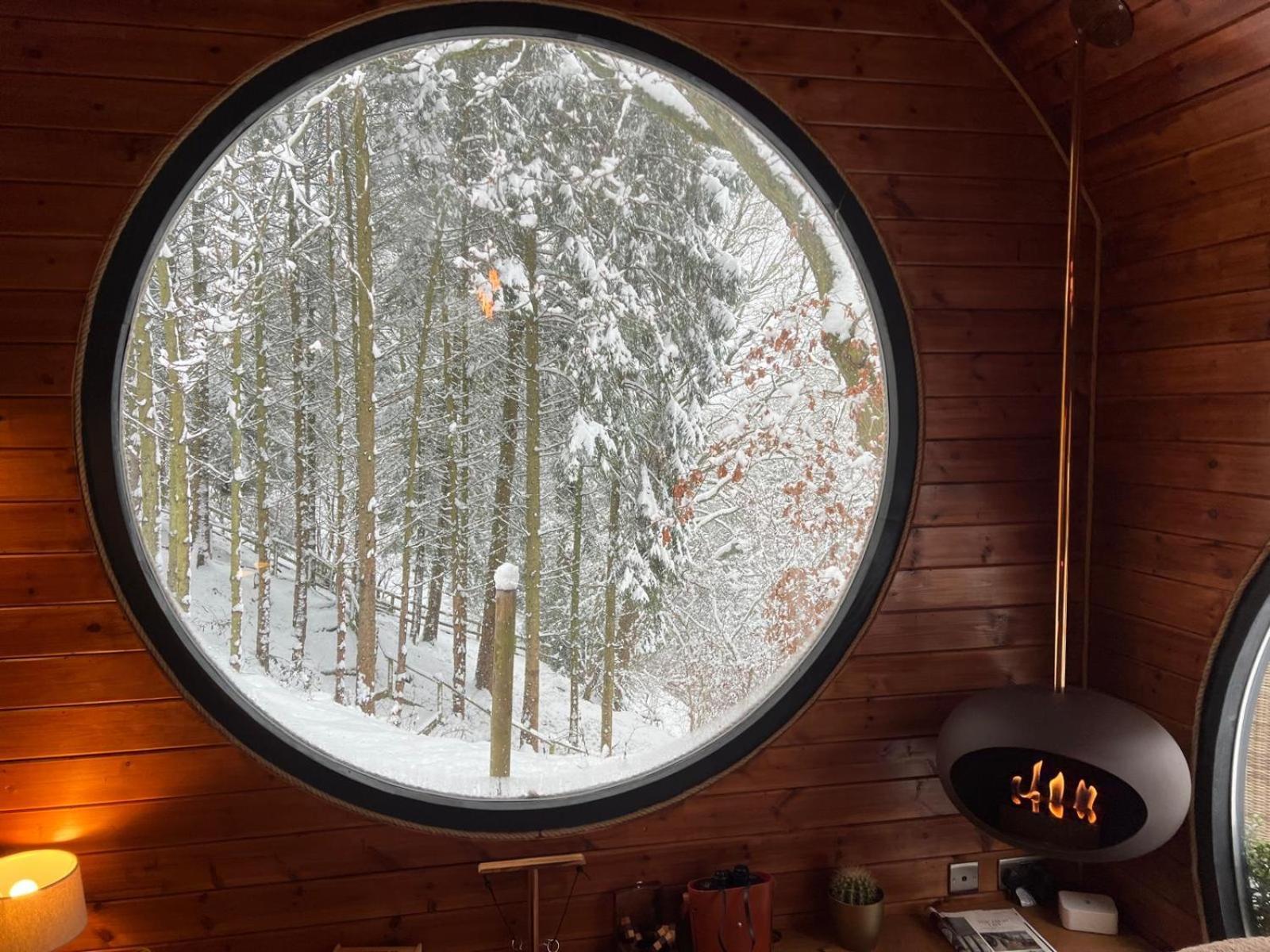 The Pines Treehouse At Treetops Hideouts Ричмонд Экстерьер фото